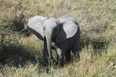 DSC_3868 (Large).JPG